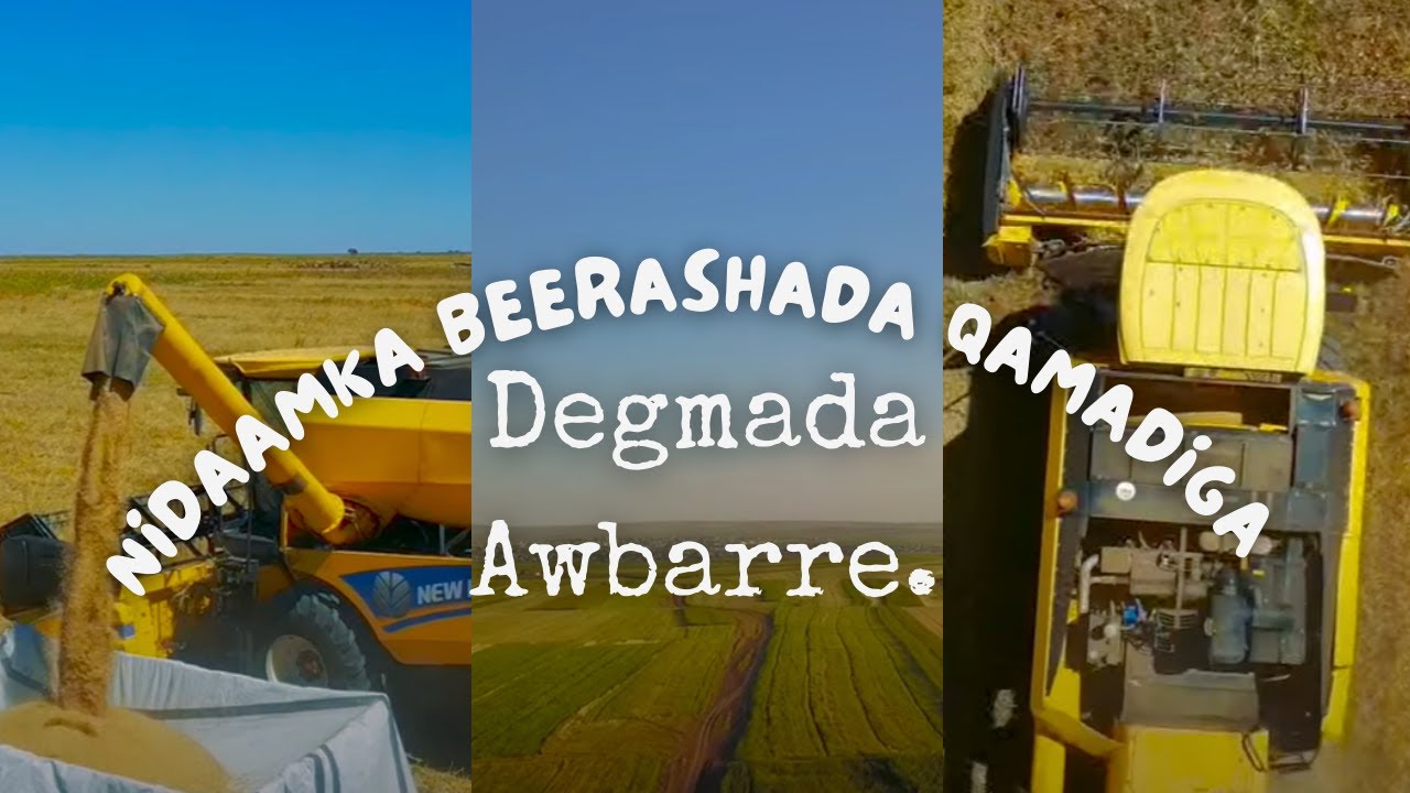 Nidaamka Beerashada Qamadiga Degmada Awbarre.