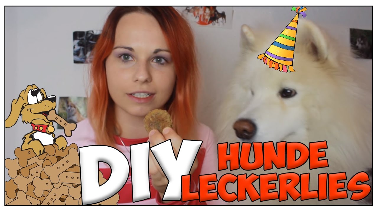 DIY Hundeleckerlies! Nero´s 6. Geburtstag! Selbstgemachte Hundekekse!