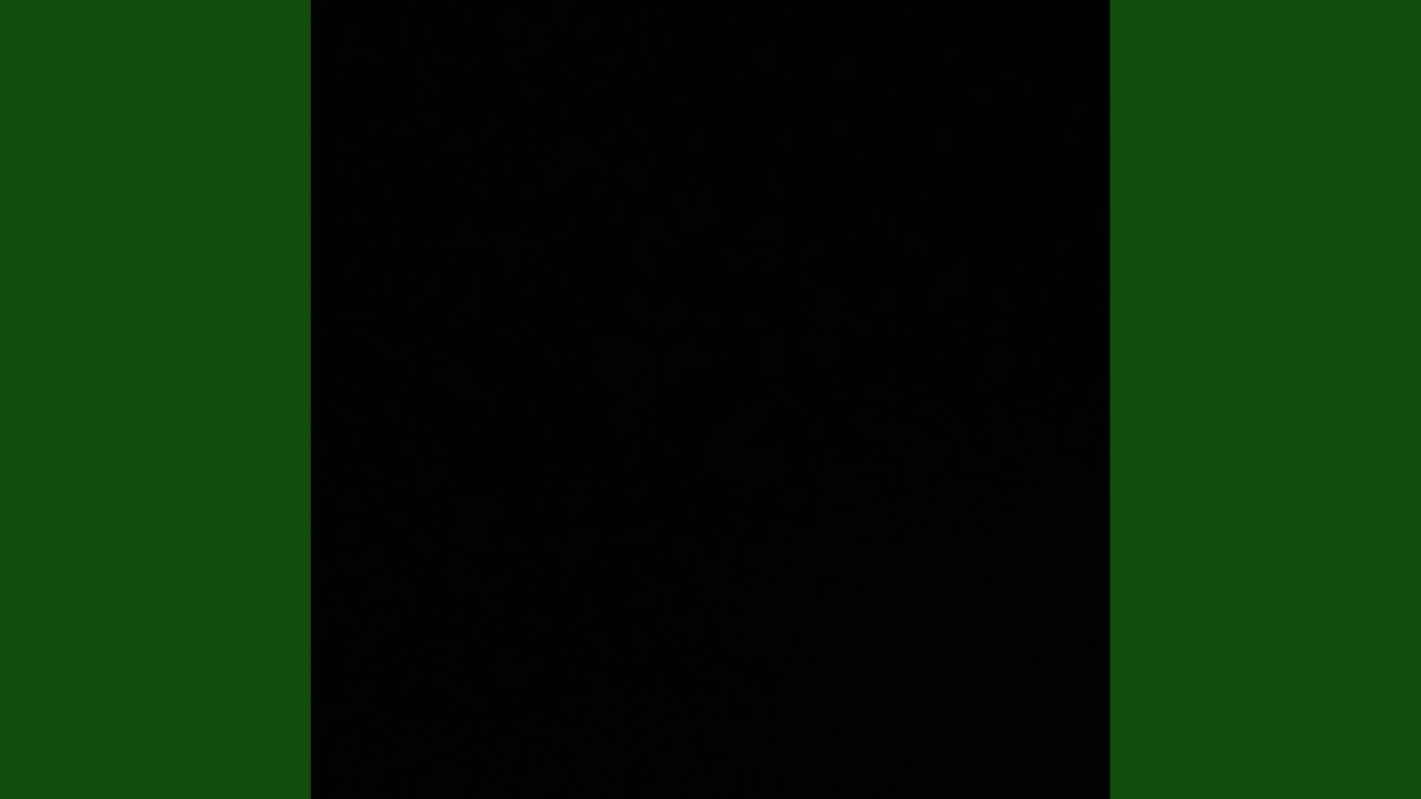 WhiteOwls (feat. PROD.IDONTDESERVEU!)