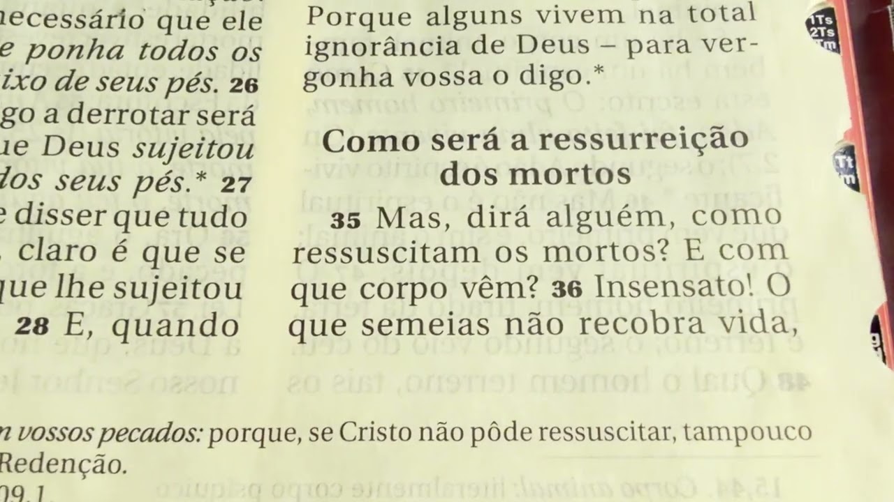 Dia 16 de Fevereiro