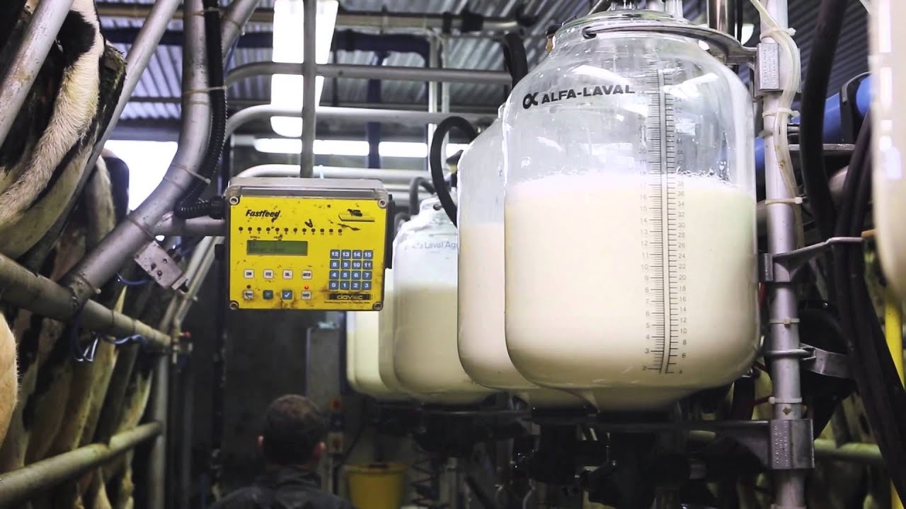 Meet PJ Boylan - NDC & Kerrygold Quality Milk Awards 2014 Finalist