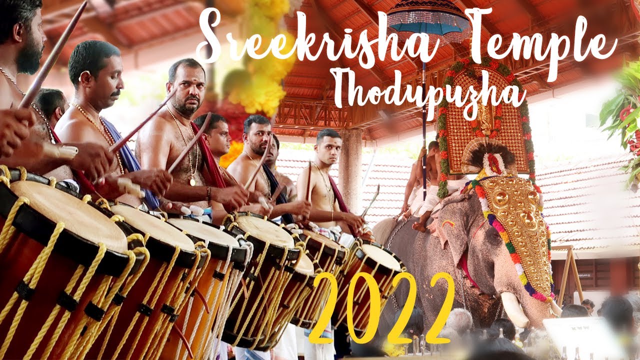 Sreekrishna Swamy Temple Thodupuzha 🔥Ulsavam 2022 💥 Pancharimelam 🔥 Day 7