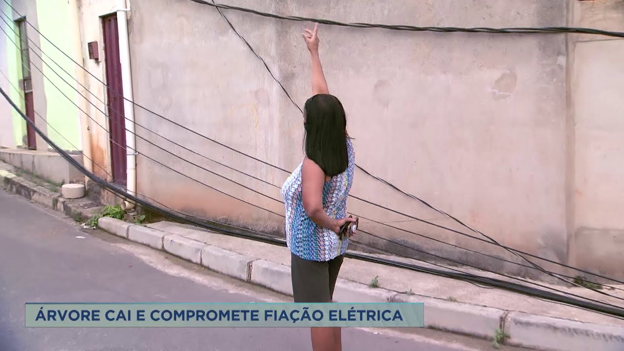 Árvore cai, derruba poste e deixa moradores em BH sem energia