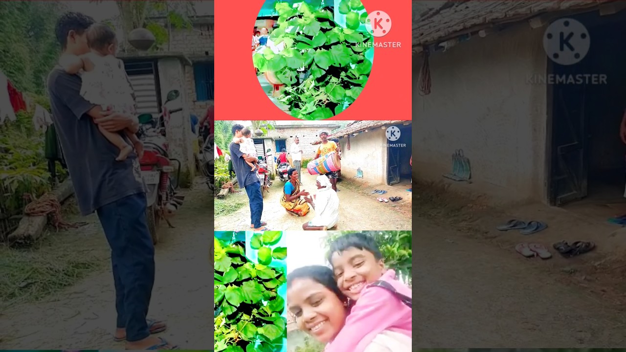Karma video #karam shorts video #karam song #Sarna sarai pup