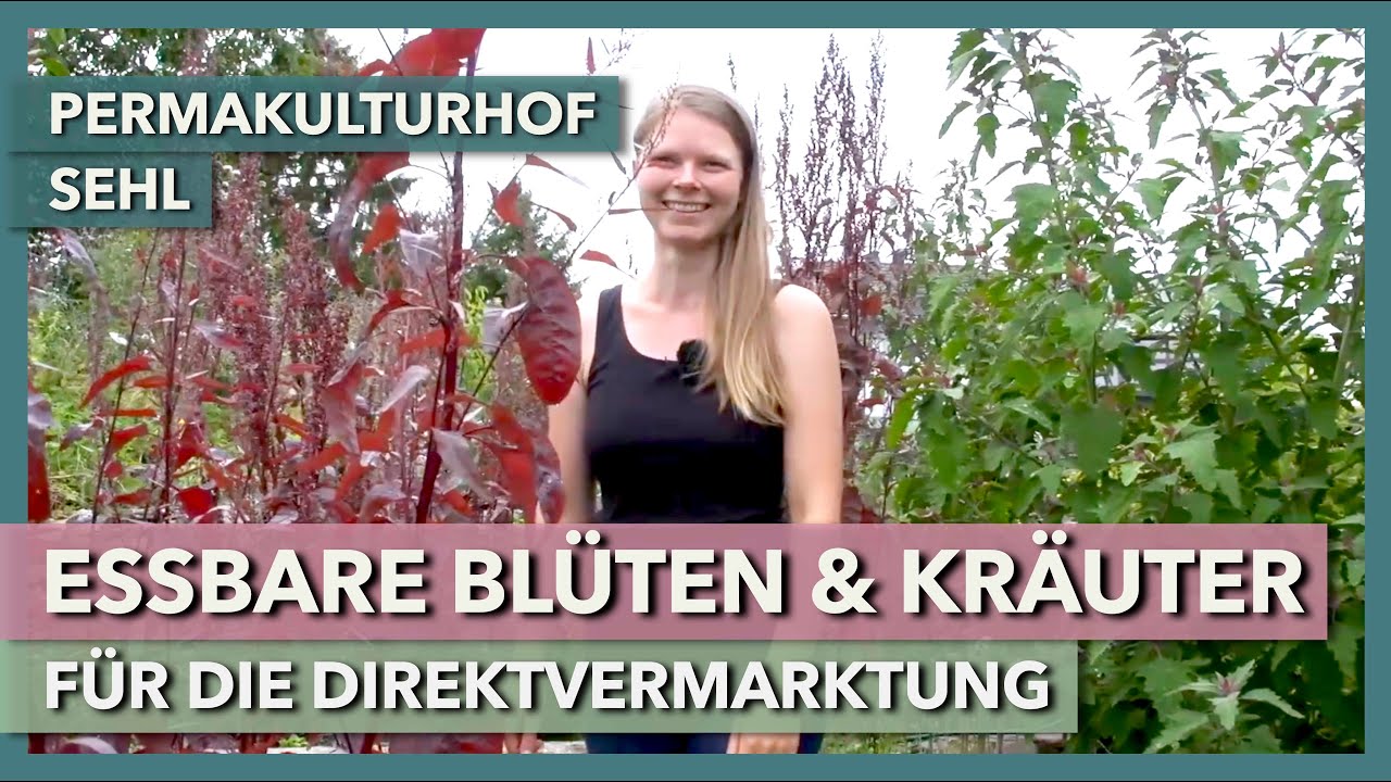 Essbare Blüten & Kräuter im Market Garden | Permakulturhof Sehl | Rundgang 3