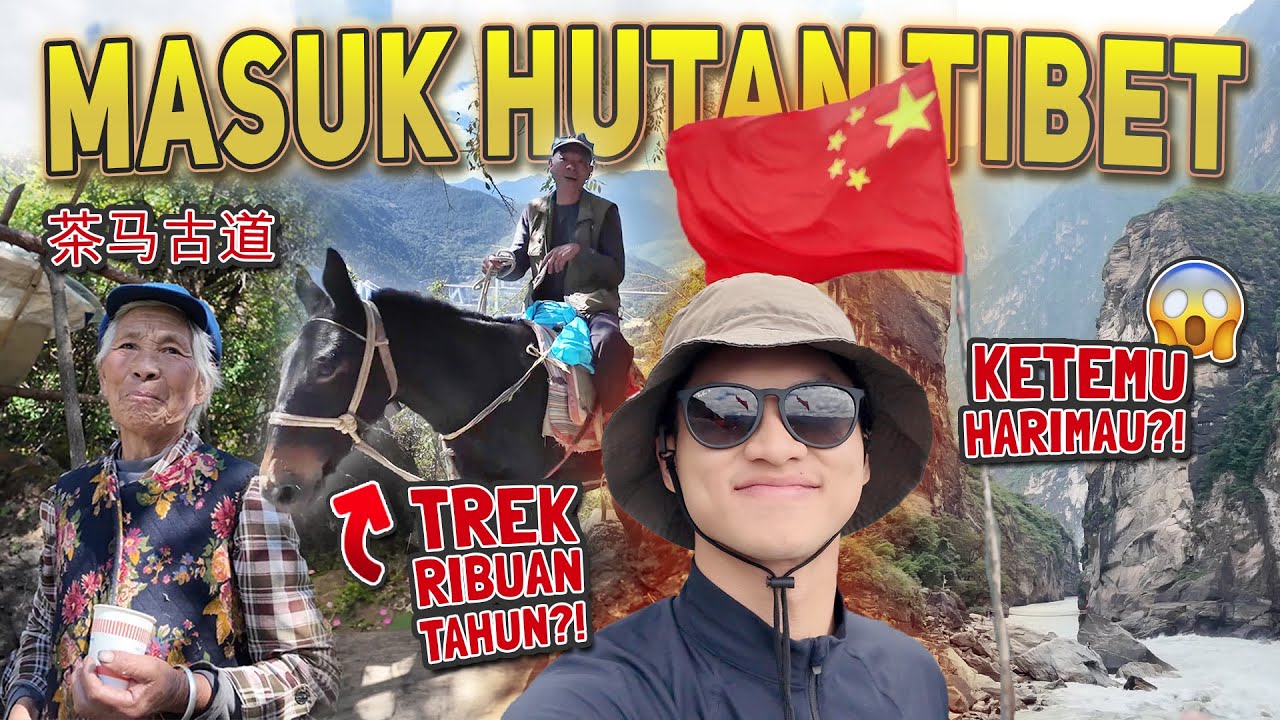 Di Sini DAUN TEH Dibayar Pake KUDA😱⁉️ SOLO HIKING ke Tiger Leaping Gorge, Shangrila, Tibet🇨🇳 虎跳峡徒步🐅