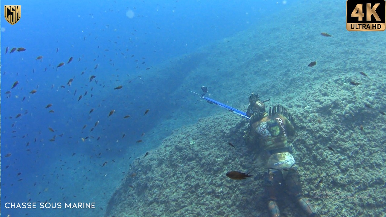 CHASSE SOUS MARINE Dorade énorme 😱Denti Chasse petit fond Peche Sous Marine Méditerranée