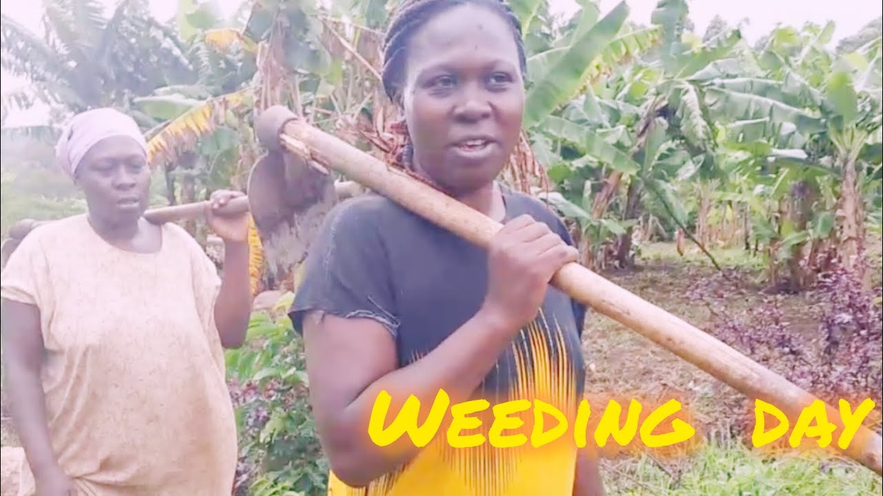 Farming in the village @MamaAnnFamily 