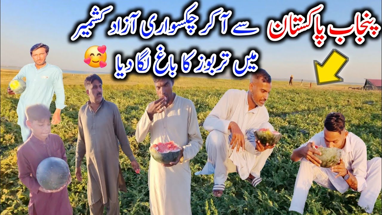The people of Punjab Pakistan, planted a watermelon garden in Chakswari Mirpur Azad Kashmir |