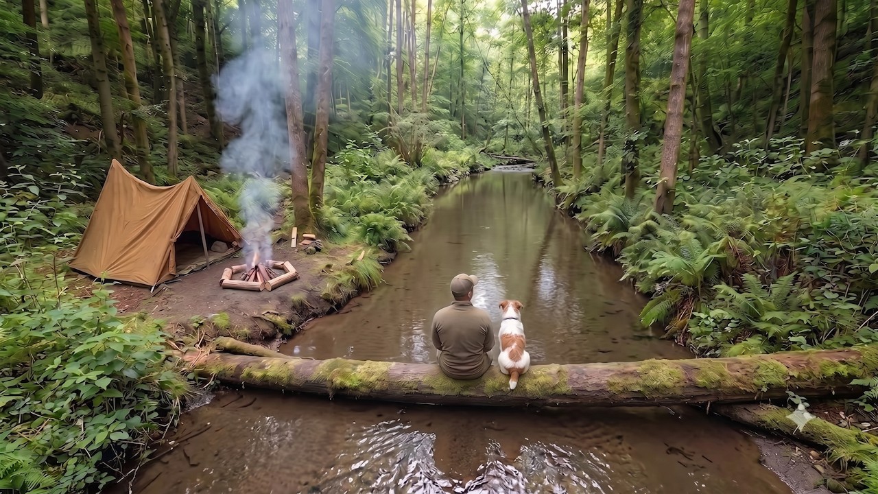 The river is almost dry! Wild camping with a dog, fishing