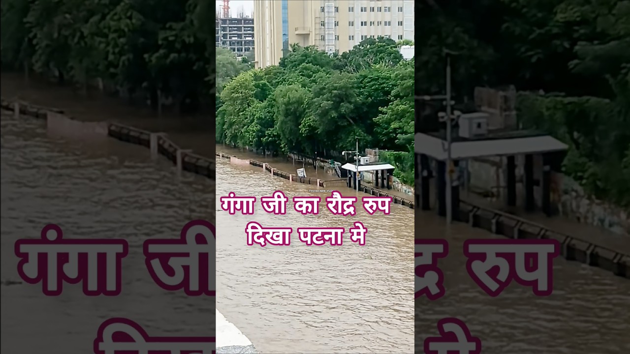 Ganga River Reaches Danger Level #gangariver #gangawaterlevel #flood #shortsfeed
