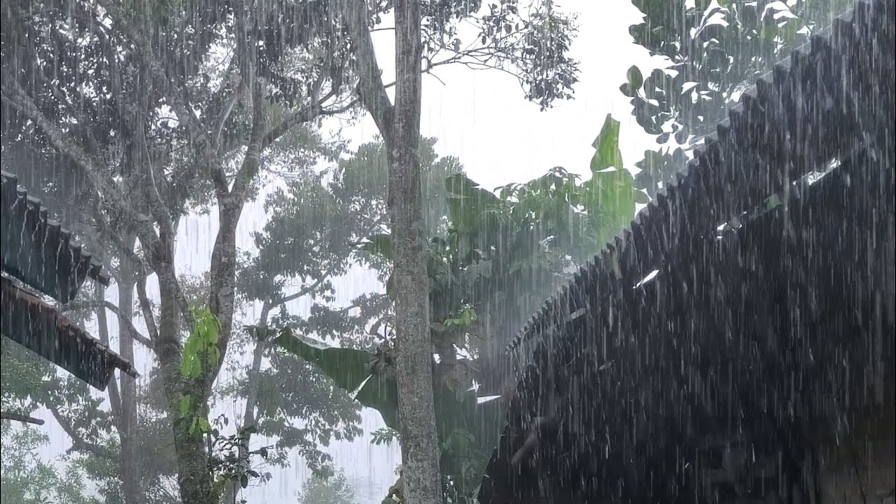 Relentless Heavy Rain 🌧️ Deep Sleep in Seconds | Rain Noise 💤
