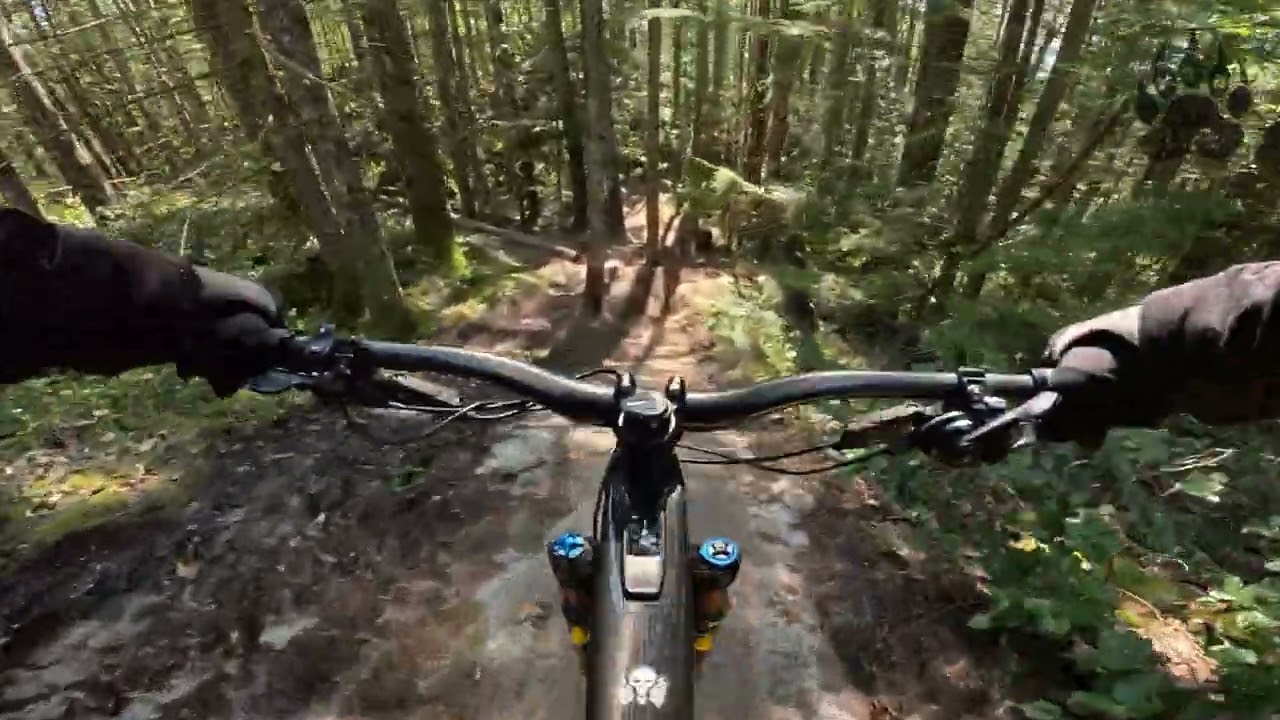 Entrails to Boney Elbows
