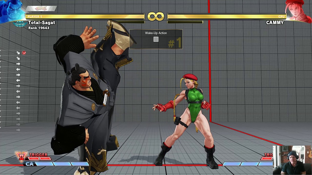 E Honda Basics/Guide and play