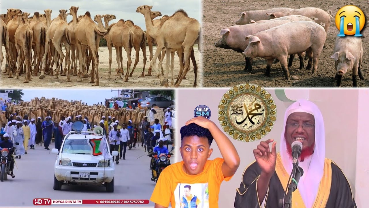 DEG DEG SH UMAL OO DOOFAAR KU TILMAAMAY GEELKII NABIGA LOO GOWRACAY 