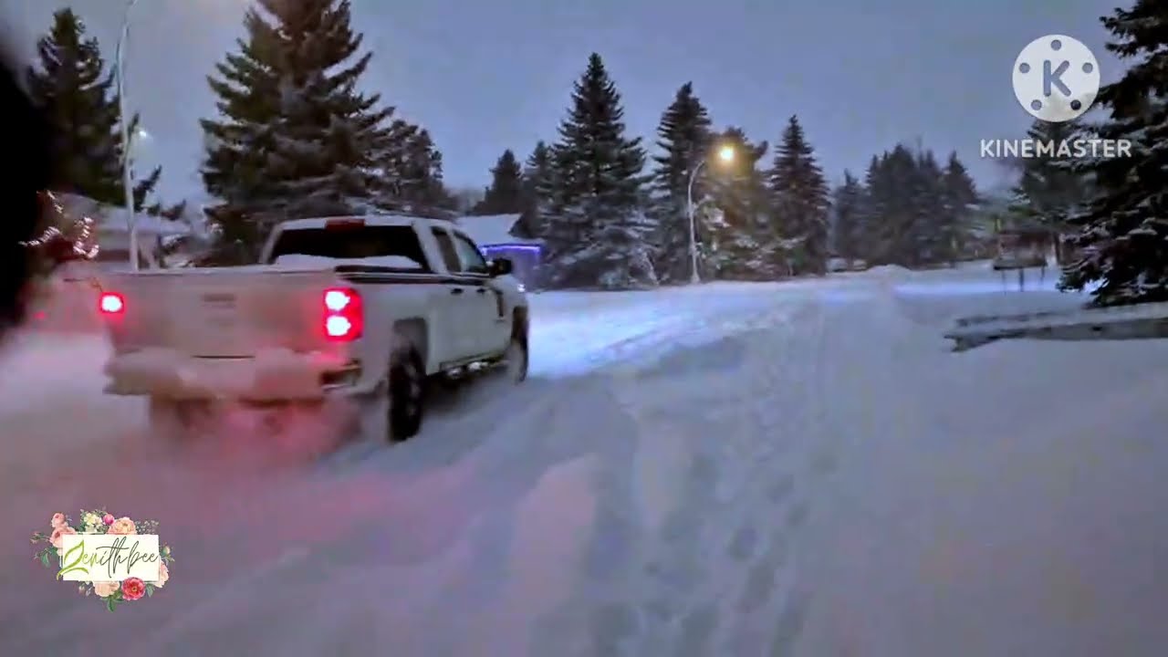 WALKING AFTER WORK AT -30°C SO COLD 🇨🇦 | ZENith BEE 
