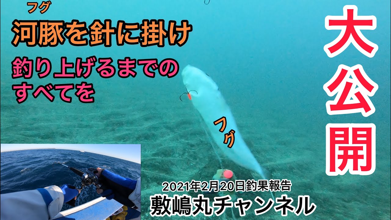 【敷嶋丸】フグ🐡を針に掛け釣り上げるまでのすべてを大公開2021年2月20日釣果報告