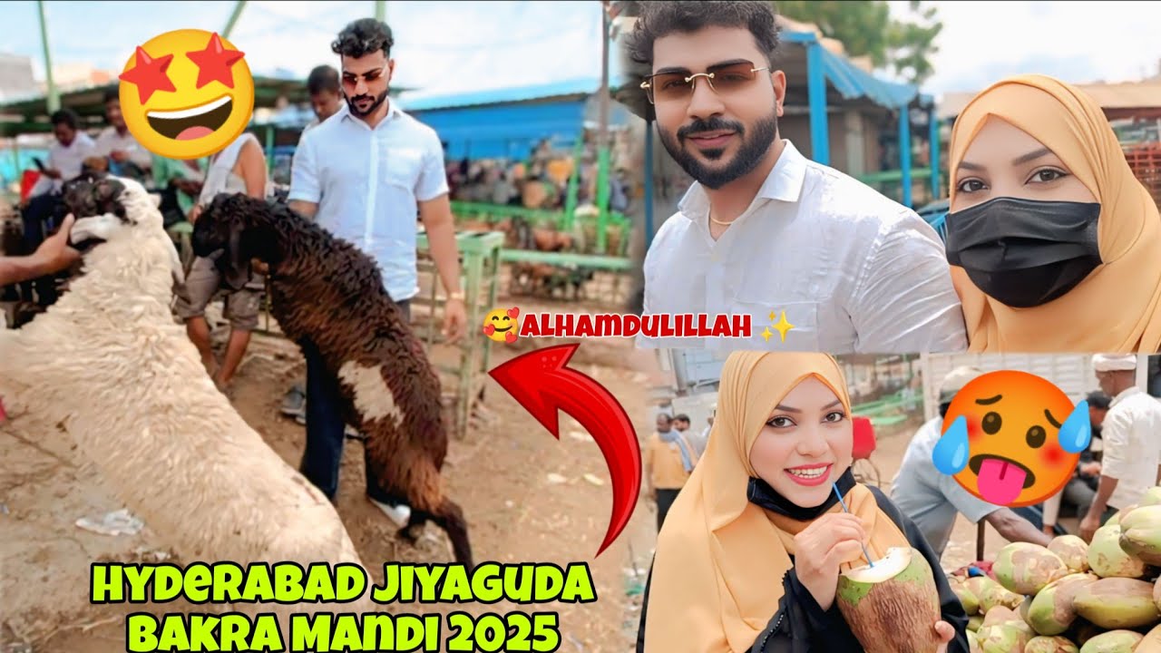 ALHAMDULILLAH 🥰 Qurbani k bakre Le Liye 😇| Hyderabad Biggest Bakra Mandi Jiyaguda 2025🤩|#bakramandi
