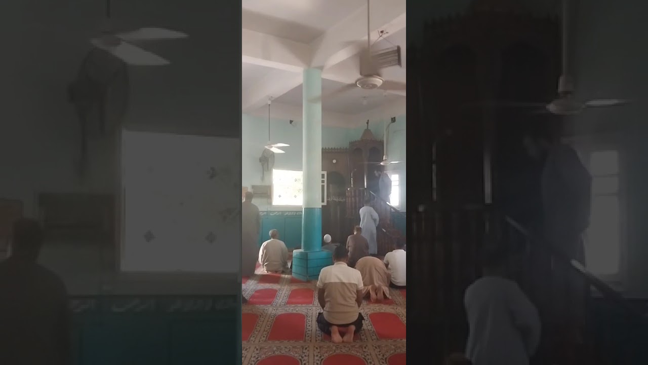 ٢٢ نوفمبر ٢٠٢٥