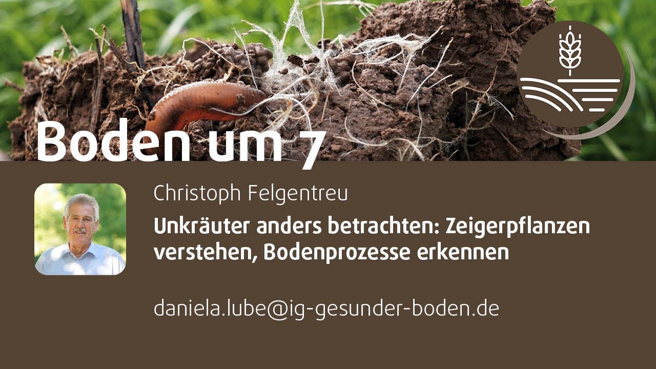 Unkräuter anders betrachten: Zeigerpflanzen verstehen, Bodenprozesse erkennen | Christoph Felgentreu