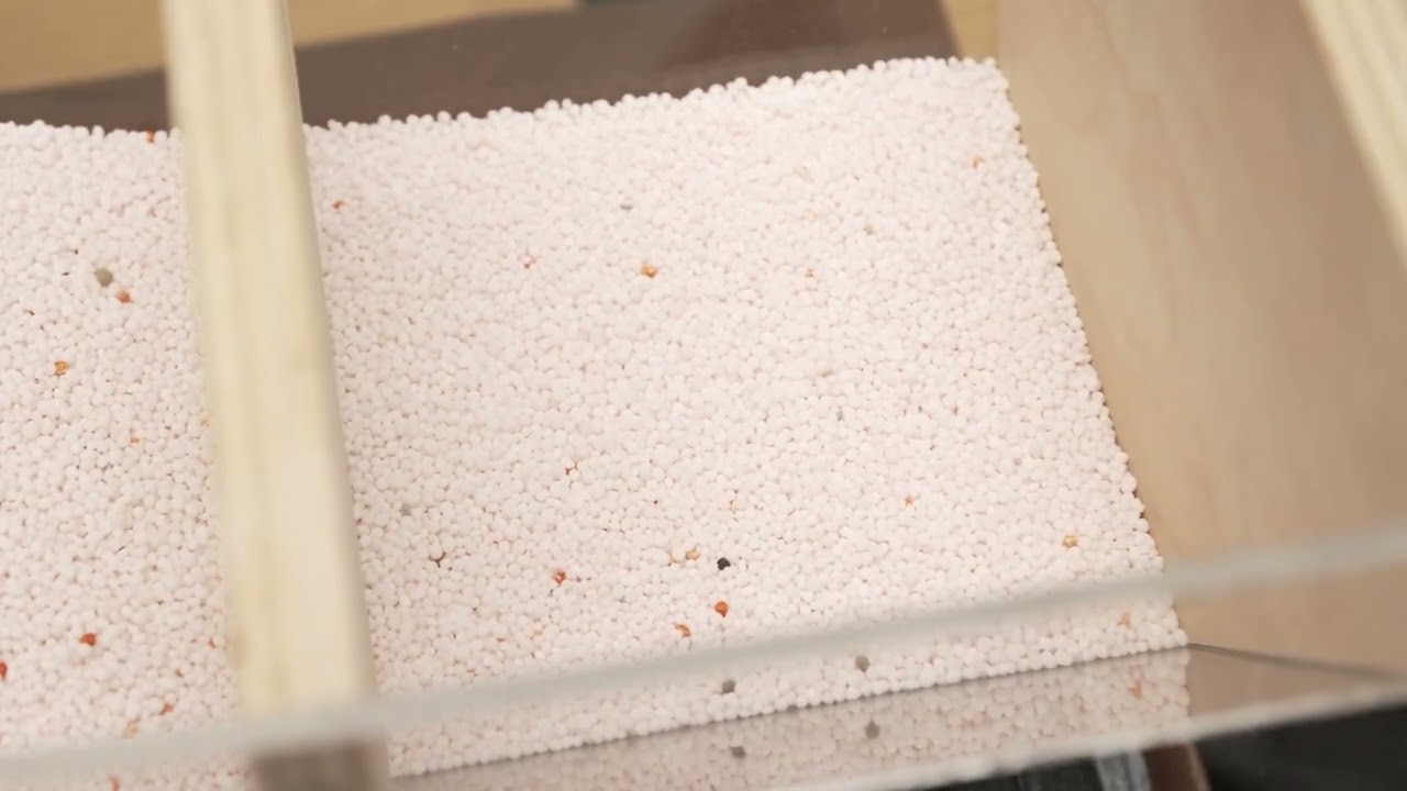 microSync Dispersion Video