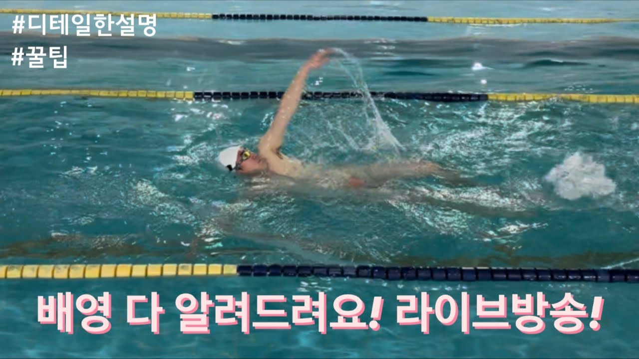 (라이브방송)배영 알려드릴게요!