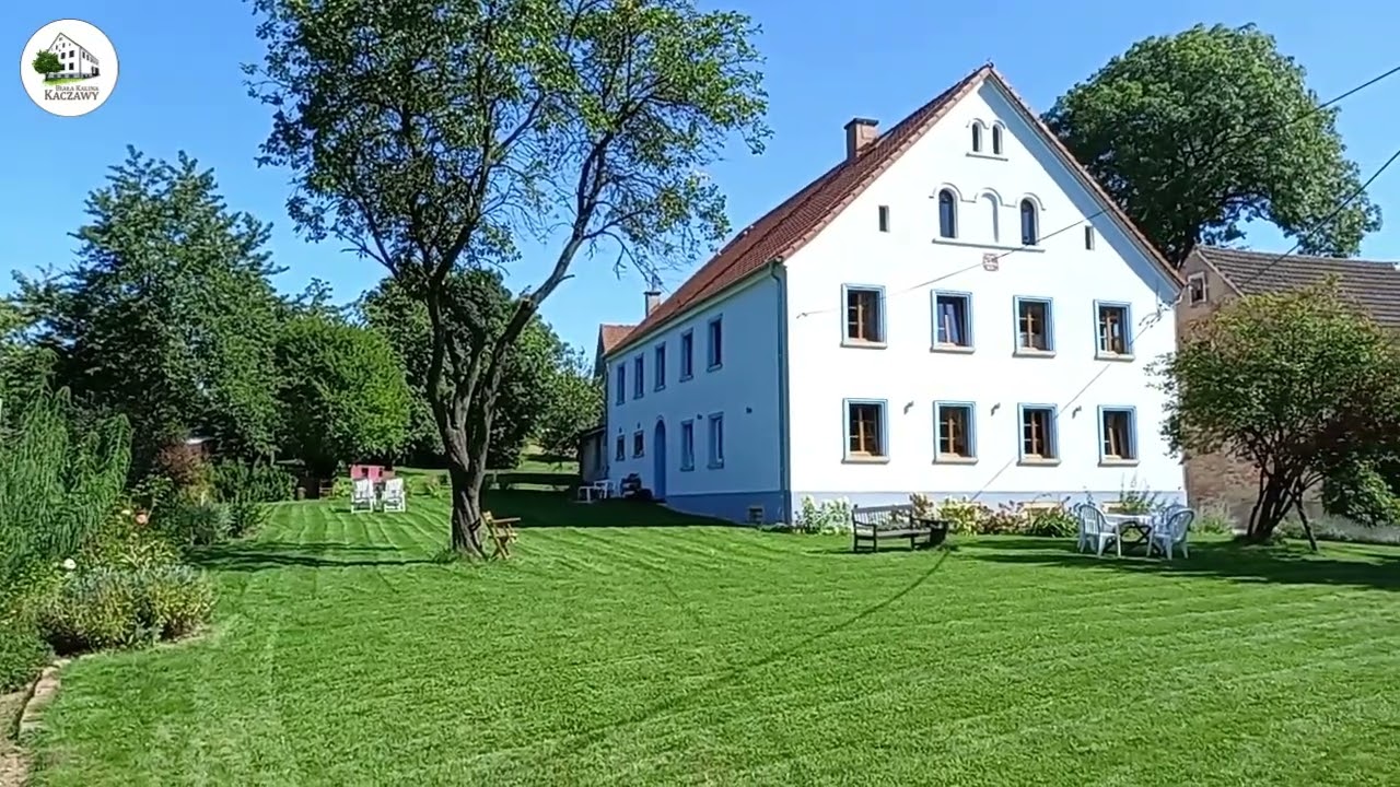 Biała Kalina Kaczawy