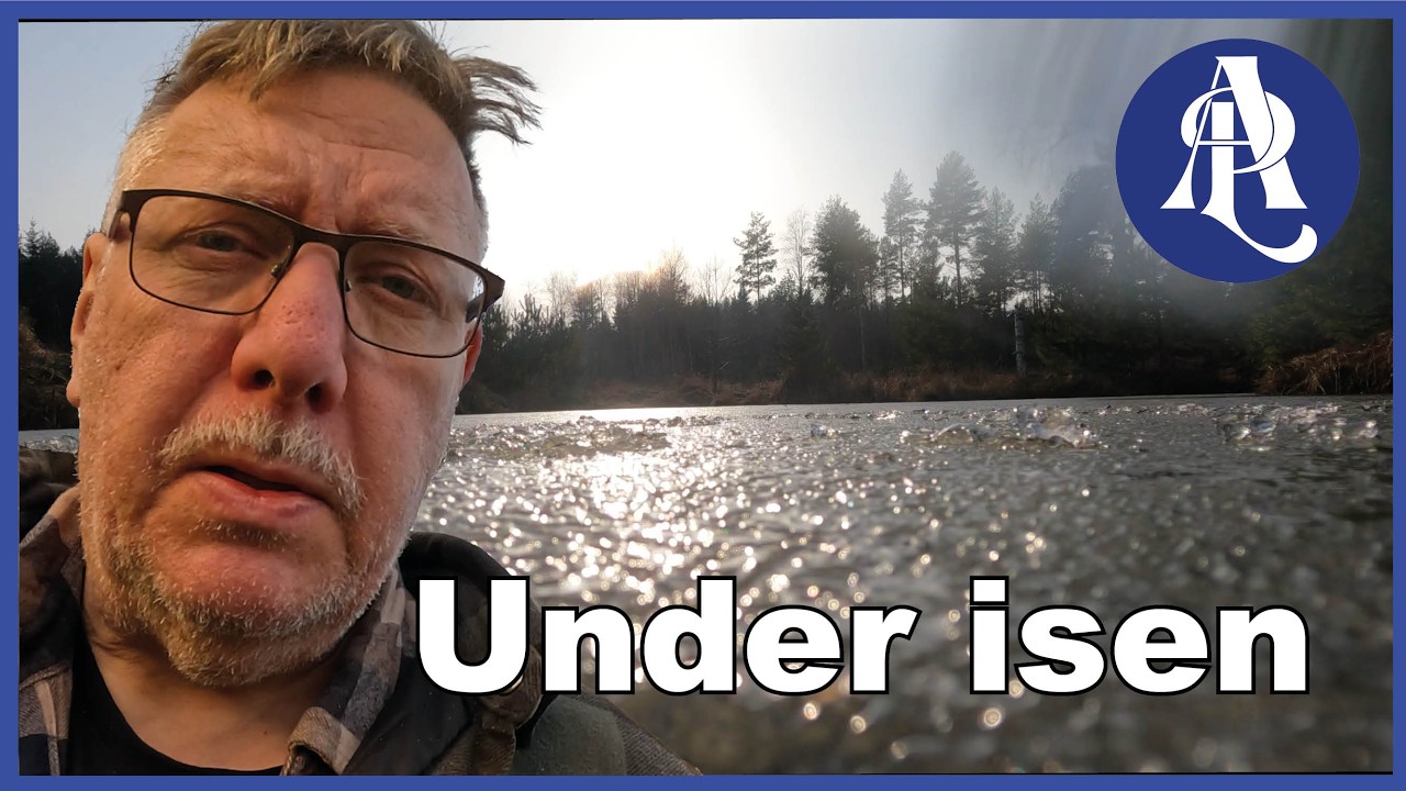 Dammen full med döda fiskar