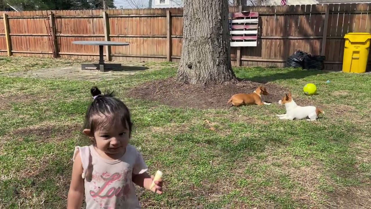 Cleaning the yard ￼