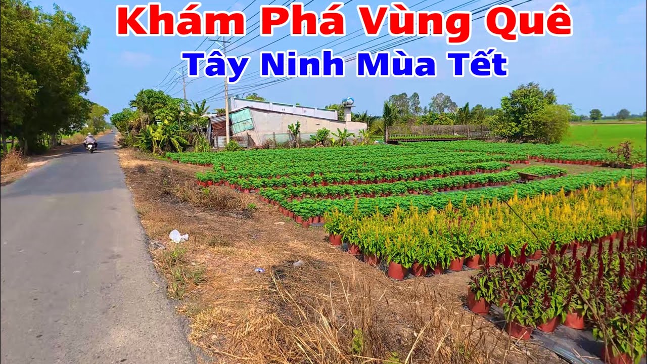 Chạy từ quộc lộ 22 về quộc lộ 22b xuyên qua xã lợi thuận, tiên thuận ,cẩm giang mới tới nhà