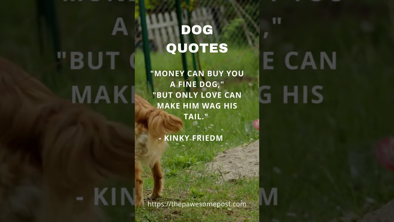 Quotes About Dogs