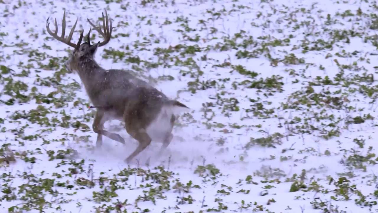 Hunt Masters - 3 Years, 1 Buck - Outdoor Channel