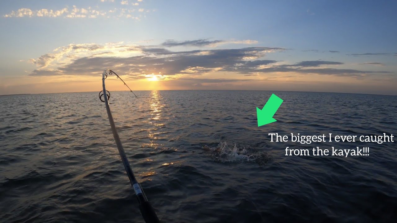 Epic Kayak Fishing For Giant Drum On Pamlico Sound Cape Hatteras Outer Banks Best Action Ever!
