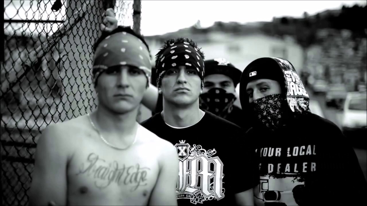 ¿Qué es el Straight Edge?