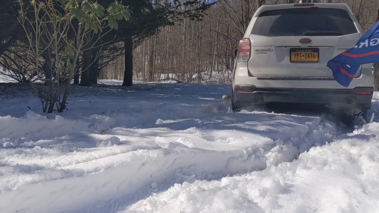 Subaru Forester and Michelin Crossclimate 2