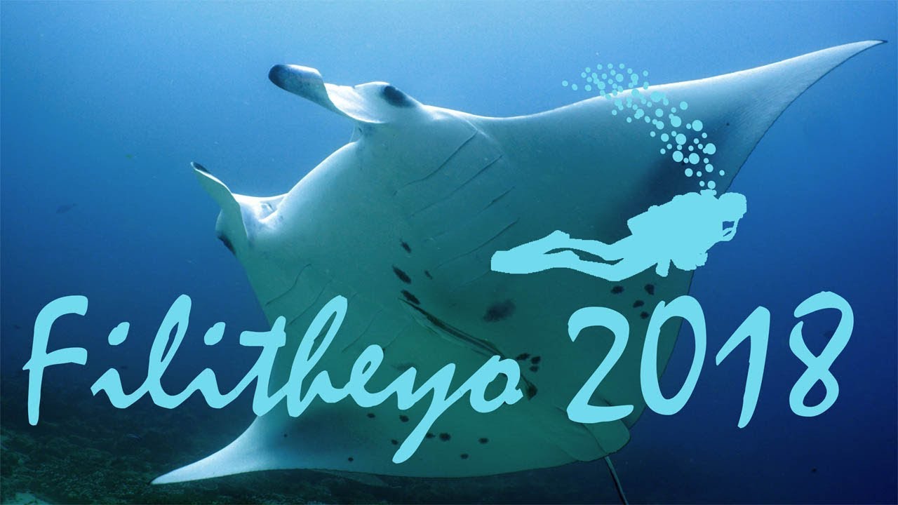 Filitheyo 2018