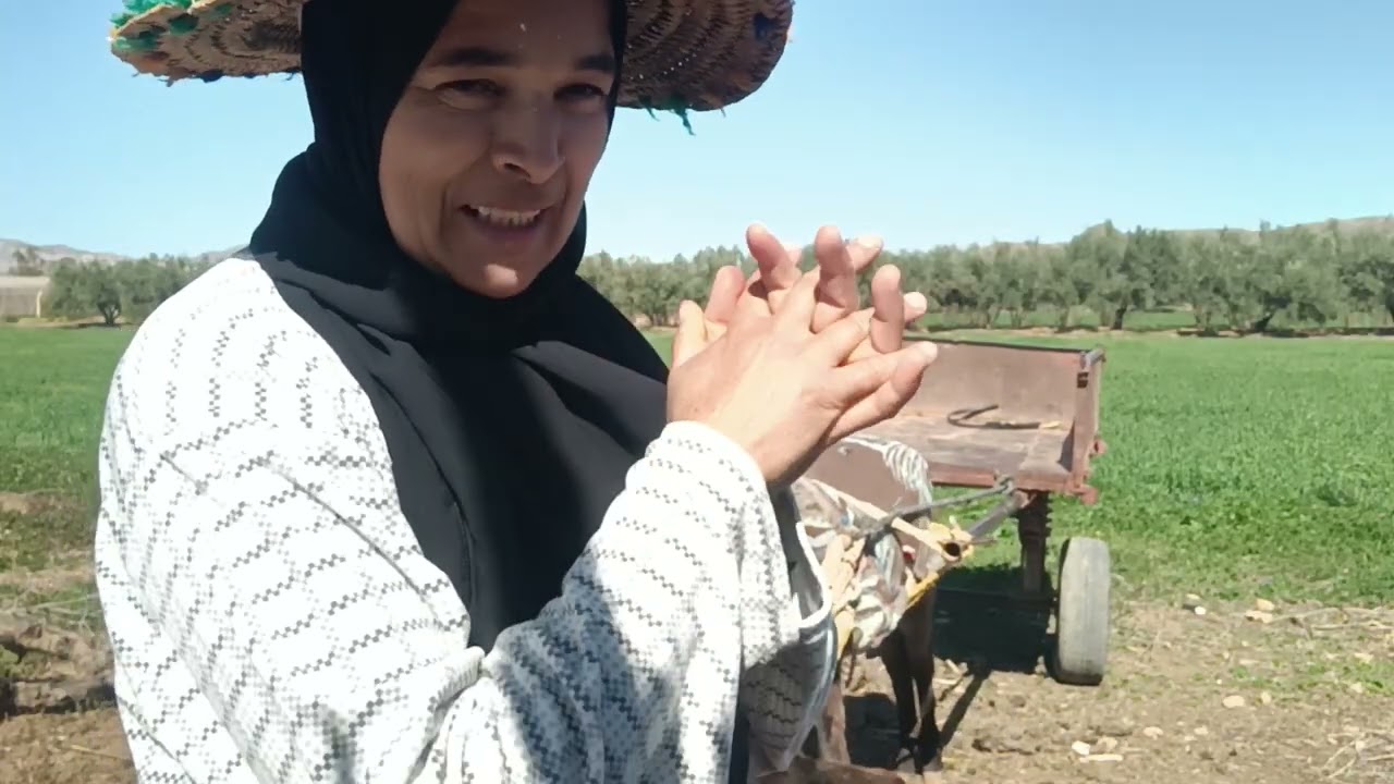 لعربة تقليديه لحمار و لكرويلة كنحبها من طفولة لن نتخلى عنها
