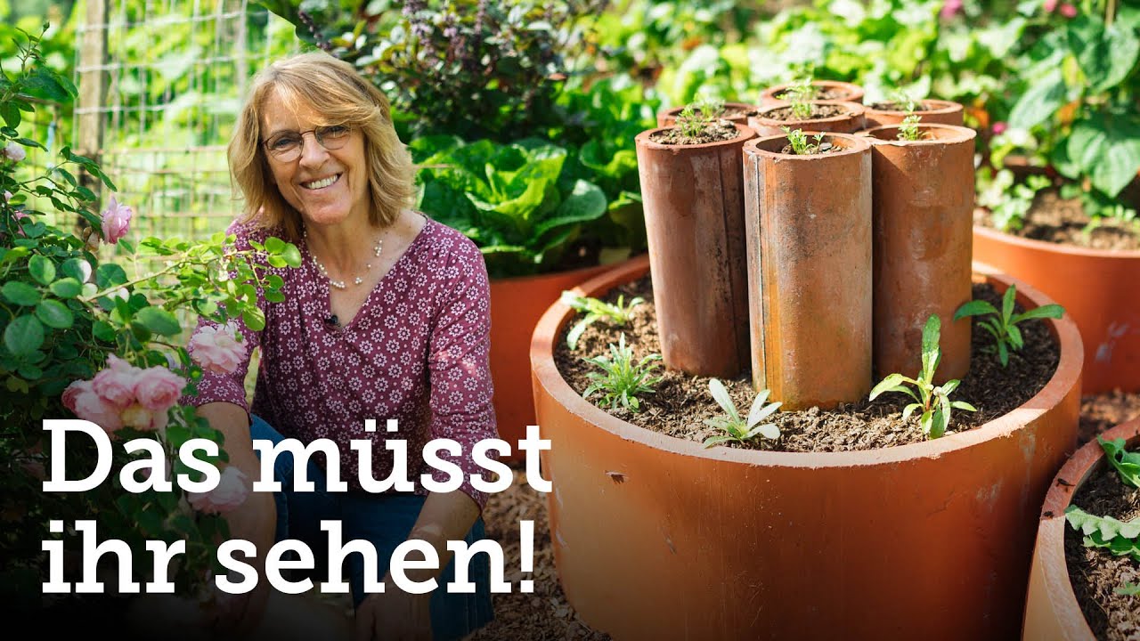 Unser neuer ROHR-Garten! 🤩 Aus Abfall wird ein Traumgarten! 🥕🥒🍅🌼