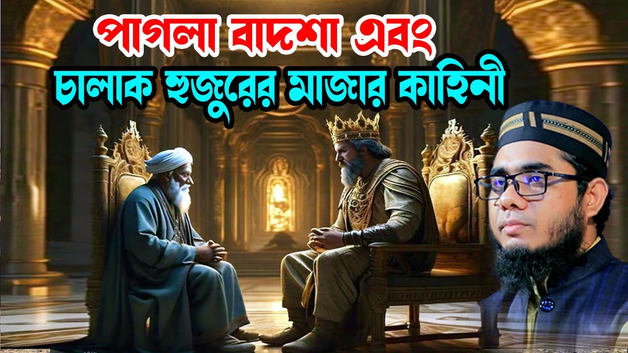 পাগল বাদশা ও চালাক হুজুরের কাহিনী shahidur rahman mahmudabadi new bangla waz মাহমুদাবাদী ওয়াজ ২০২৫