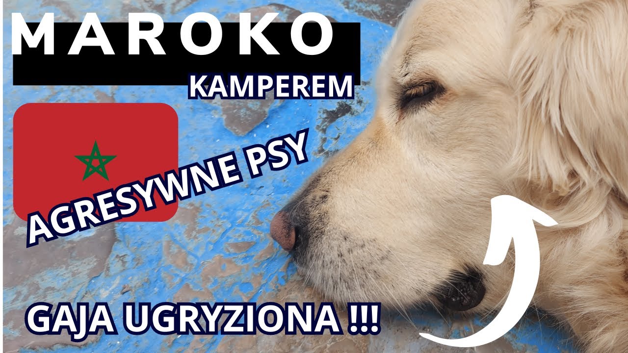 Agresywne psy w Maroku ugryzły Gaję, Taghazout,Imsouane, surferska wioska została zburzona, Legzira