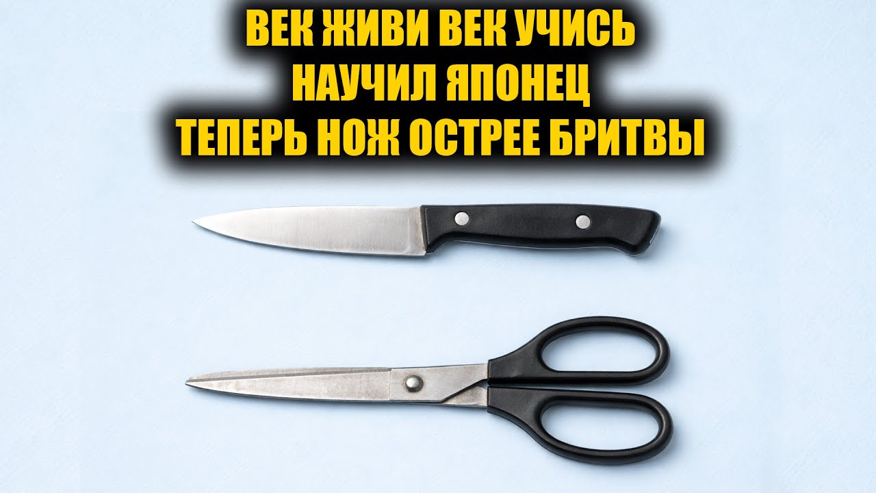 Научил ЯПОНЕЦ! Как легко и быстро наточить тупые ножи и ножницы