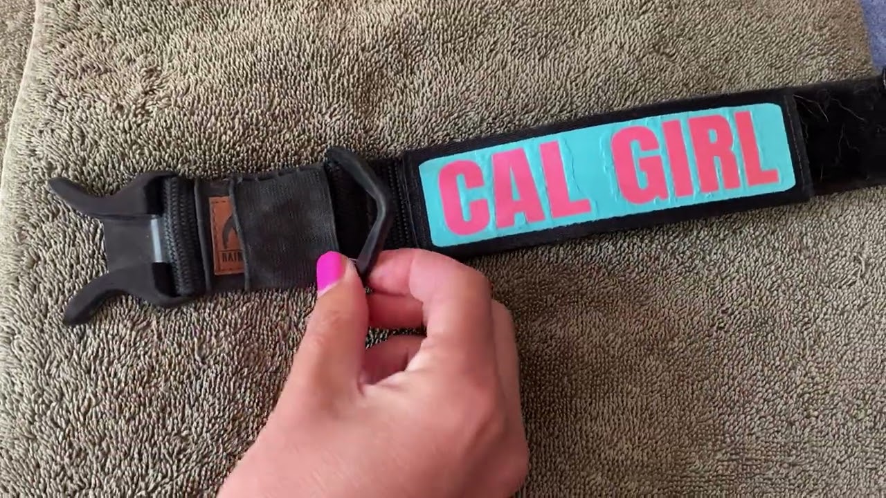 How I attach my AirTag to my dog collar