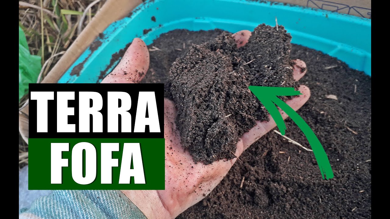 DICA VALIOSA PARA TER UMA TERRA SOLTINHA (&Oacute;TIMO PARA CENOURA)