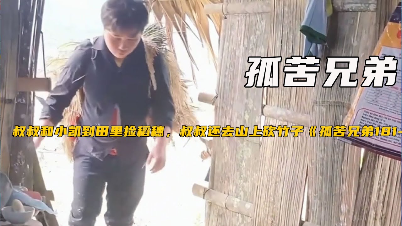 叔叔和小凱到田裏撿稻穗，叔叔還去山上砍竹子《孤苦兄弟181-185》