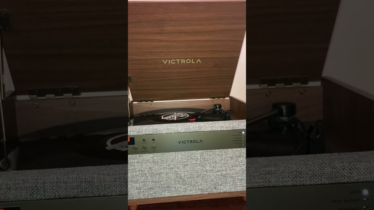 Someday - with aviary vocal accompaniment 