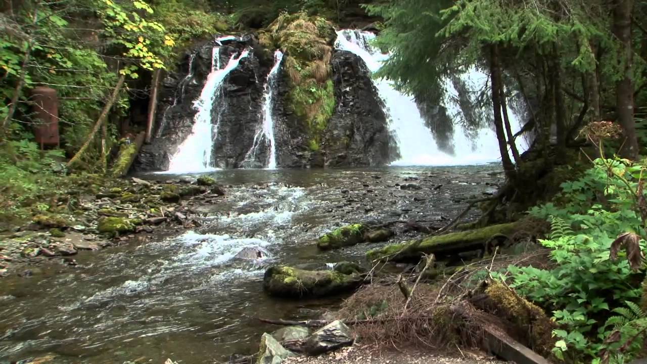 Mendenhall Glacier & Salmon Bake | Shore Excursion | NCL