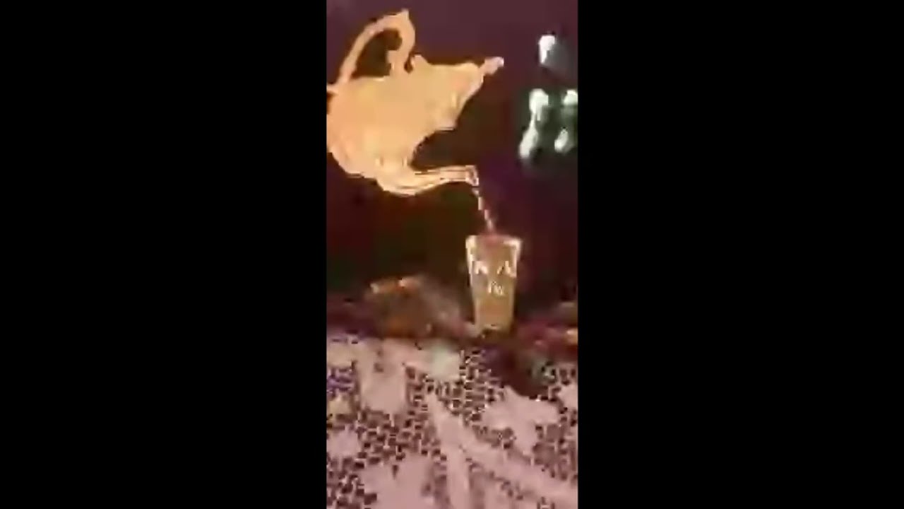 مبروووك القوز
