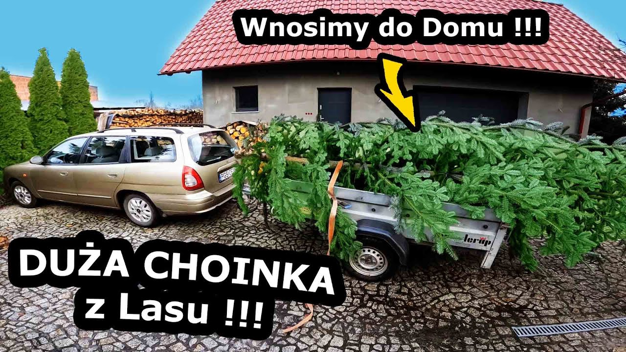 Jedziemy po CHOINKĘ do Lasu !!! - Jak wygląda Wycinka?  Czy zmieścimy ją w Pokoju? *Święta BN (#758)