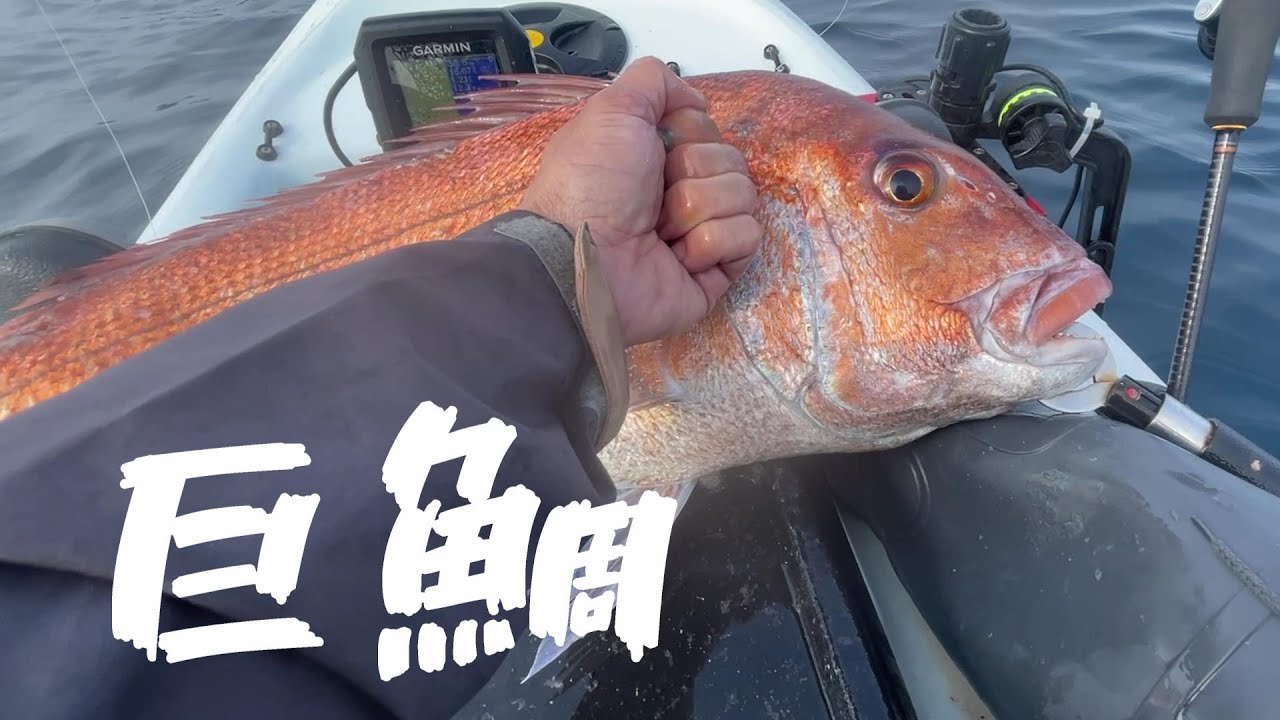 巨大なマダイに底物からイカまで山陰で二日間釣りしまくったら凄かった！【カヤックフィッシング】＠釣りに行こうか