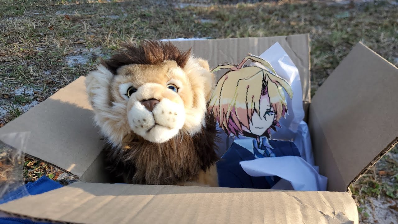 Webkinz unboxing♡ signature Lion